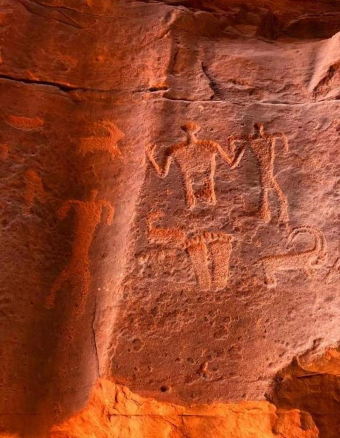 Hidden Wadi Rum Camp Exteriör bild